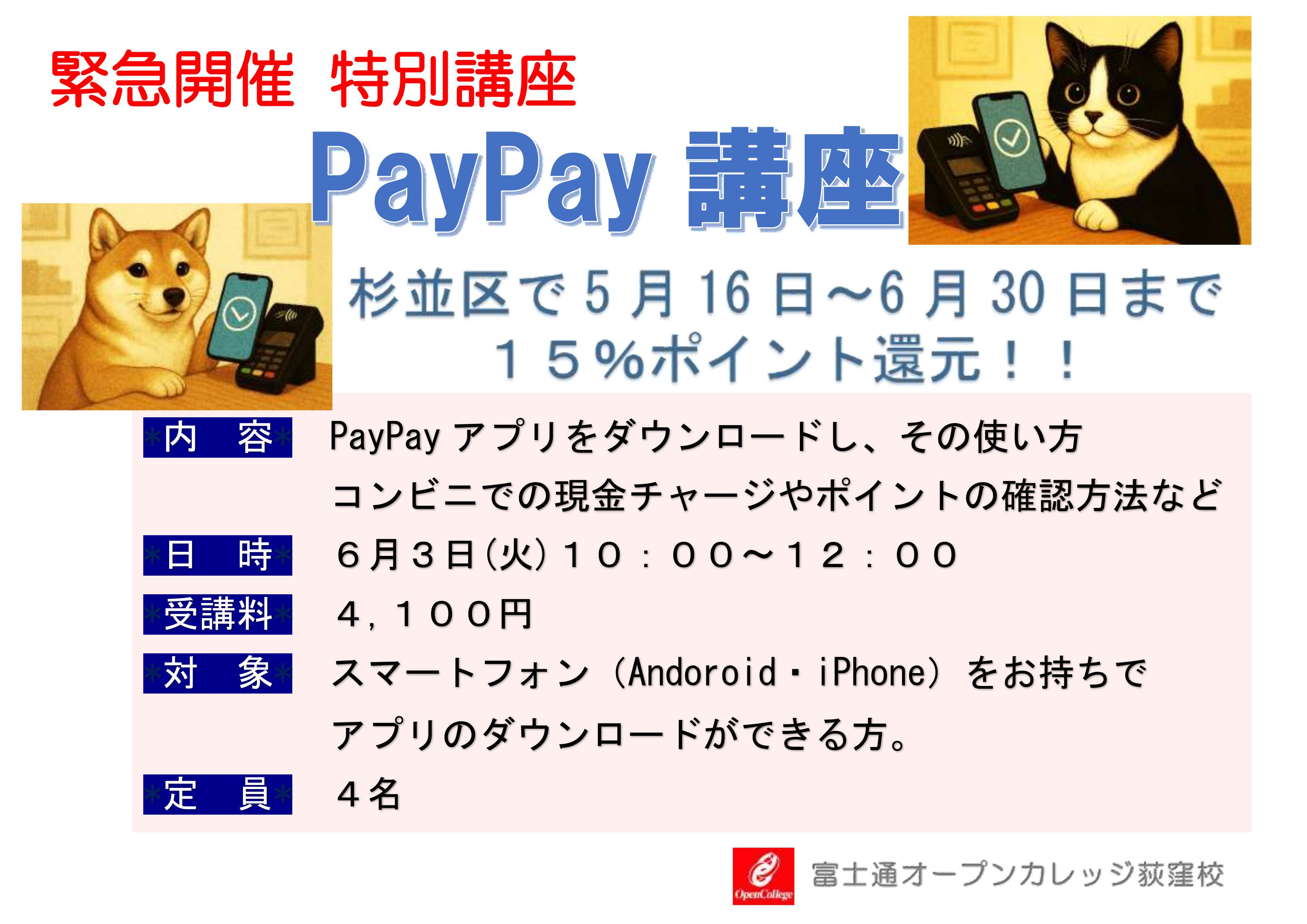 PayPaẙ{̎go悤I